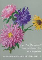 Cover-Bild Gartenblumen / Sommerflor II