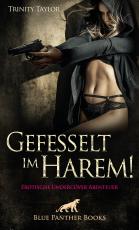 Cover-Bild Gefesselt im Harem! Erotische Undercover Abenteuer