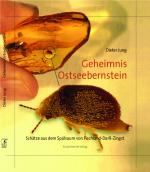 Cover-Bild Geheimnis Ostseebernstein