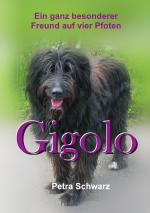 Cover-Bild Gigolo