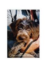Cover-Bild Gipsy - Mein erstes Jahr als Hund