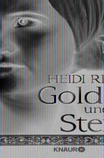 Cover-Bild Gold und Stein