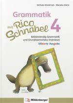 Cover-Bild Grammatik mit Rico Schnabel, Klasse 4 - silbierte Ausgabe