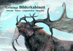 Cover-Bild Grönings Bilderkabinett