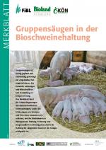 Cover-Bild Gruppensäugen in der Bioschweinehaltung