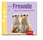 Cover-Bild Gute Freunde kann niemand trennen