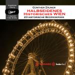 Cover-Bild Halbseidenes historisches Wien