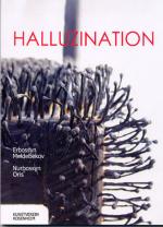 Cover-Bild Halluzination