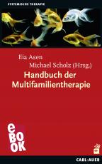 Cover-Bild Handbuch der Multifamilientherapie