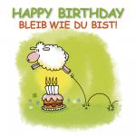 Cover-Bild Happy Birthday - Bleib wie du bist