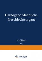 Cover-Bild Harnorgane Männliche Geschlechtsorgane