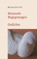 Cover-Bild Himmels-Begegnungen