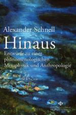 Cover-Bild Hinaus
