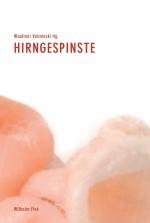 Cover-Bild Hirngespinste