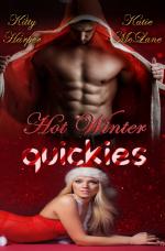 Cover-Bild Hot Winter Quickies