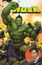 Cover-Bild Hulk