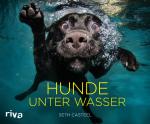 Cover-Bild Hunde unter Wasser