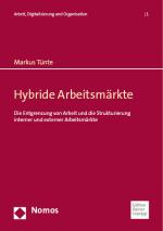 Cover-Bild Hybride Arbeitsmärkte