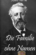 Cover-Bild Illustrierte Jules-Verne-Reihe / Die Familie ohne Namen