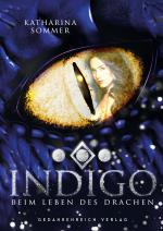 Cover-Bild Indigo