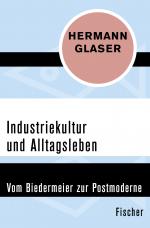 Cover-Bild Industriekultur und Alltagsleben