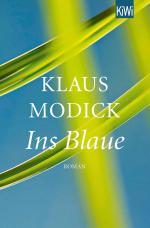 Cover-Bild Ins Blaue