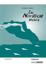 Cover-Bild Ins Nordlicht blicken - Cornelia Franz