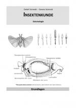 Cover-Bild Insektenkunde