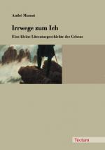 Cover-Bild Irrwege zum Ich