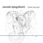 Cover-Bild Jamsids Spiegelkelch