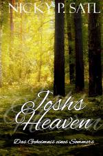 Cover-Bild Joshs Heaven