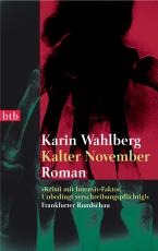 Cover-Bild Kalter November