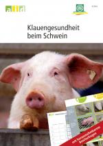 Cover-Bild Klauengesundheit beim Schwein