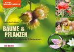 Cover-Bild Kleine Waldentdecker: Bäume & Pflanzen