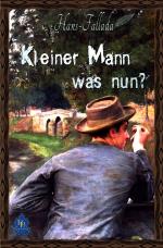 Cover-Bild Kleiner Mann - was nun?