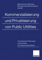 Cover-Bild Kommerzialisierung und Privatisierung von Public Utilities
