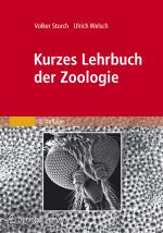 Cover-Bild Kurzes Lehrbuch der Zoologie
