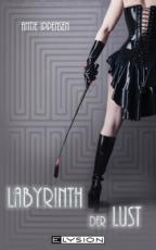 Cover-Bild Labyrinth der Lust