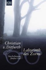 Cover-Bild Labyrinth des Zorns