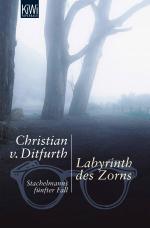 Cover-Bild Labyrinth des Zorns