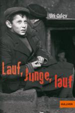 Cover-Bild Lauf, Junge, lauf