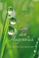 Cover-Bild Lebe den Augenblick