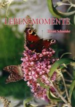 Cover-Bild Lebensmomente