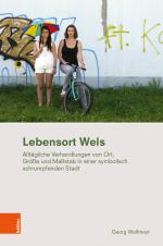 Cover-Bild Lebensort Wels