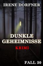 Cover-Bild Leo Schwartz / Dunkle Geheimnisse