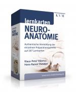 Cover-Bild Lernkarten Neuroanatomie