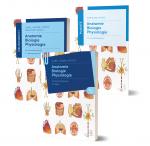 Cover-Bild Lernpaket Anatomie, Biologie, Physiologie II