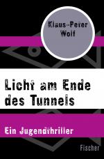 Cover-Bild Licht am Ende des Tunnels