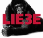 Cover-Bild Liebe Drei