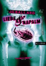 Cover-Bild Liebe & Napalm